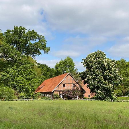 Ferienhaeuser Weitblick Gilten Luaran gambar