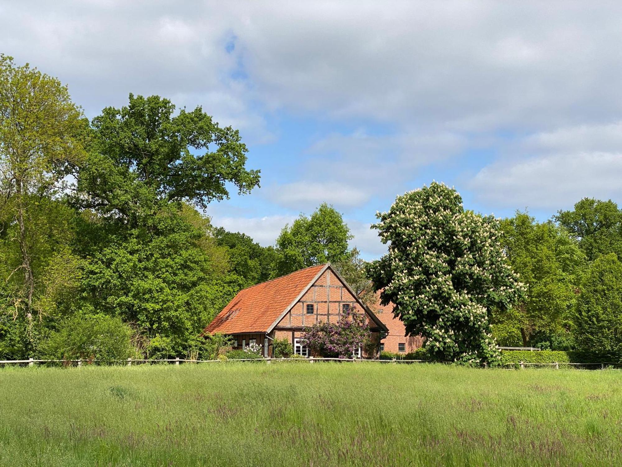Ferienhaeuser Weitblick Gilten Luaran gambar