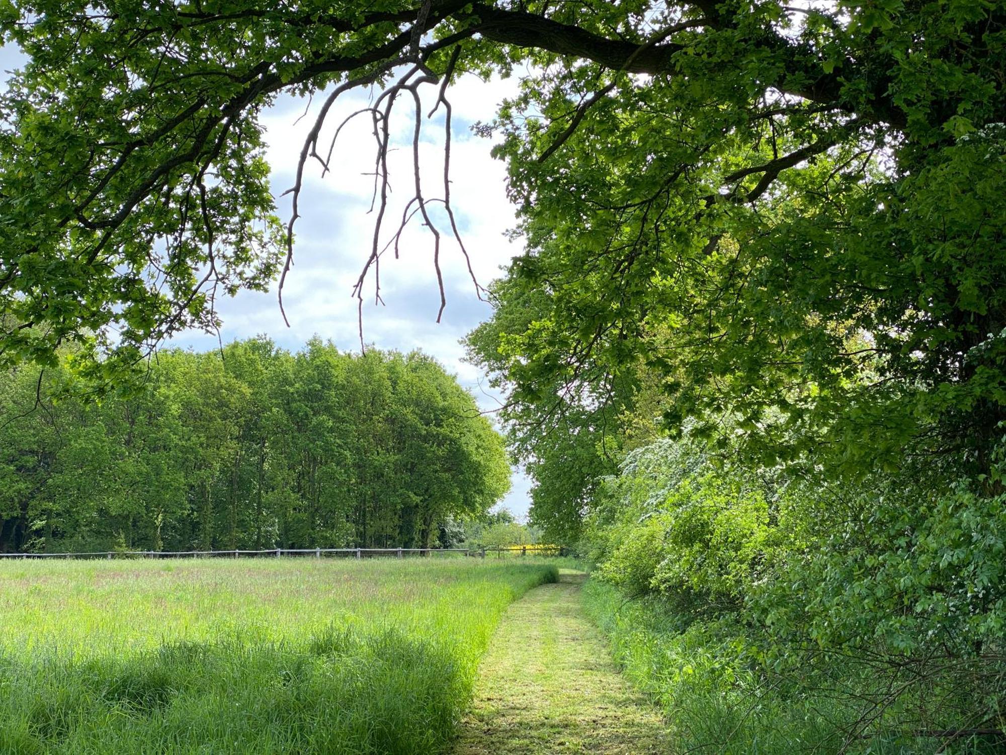 Ferienhaeuser Weitblick Gilten Luaran gambar
